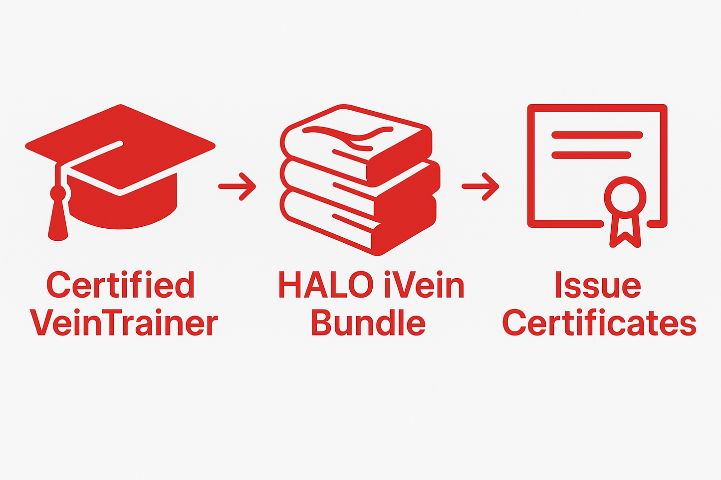 TT3i - Trainer Halo Taster iVein: Course, 10 Veins and 10 VT Certificates